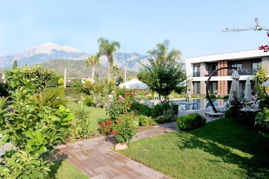 Mandalina Apartments Agva  Exterior photo